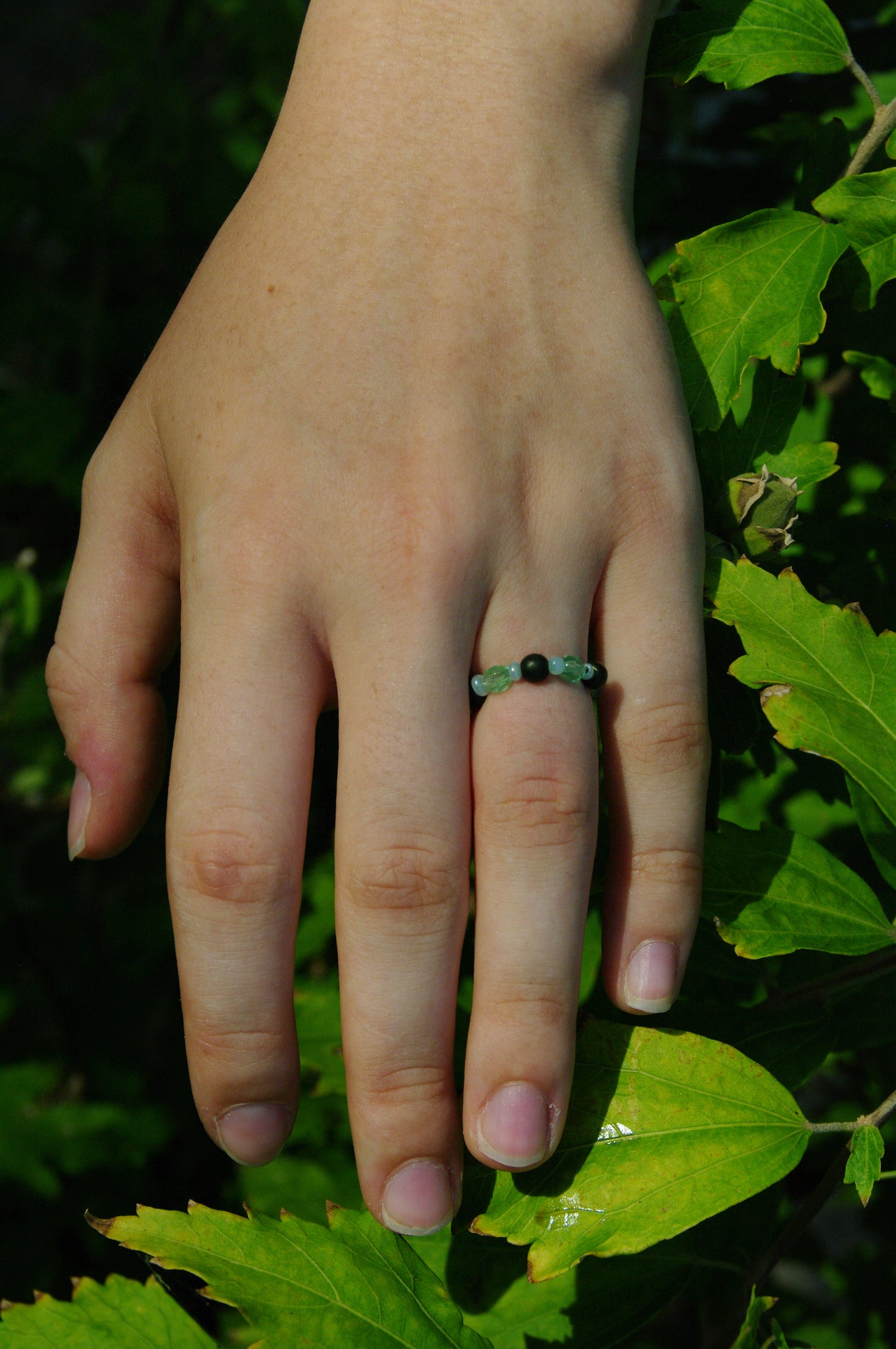 Garden Ring